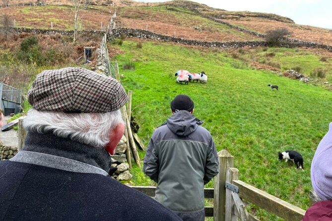 Small Group Kylemore Abbey, Sheepdog Demo & Connemara Tour - Getting out of Galway: pickup, small-group energy, and pacing