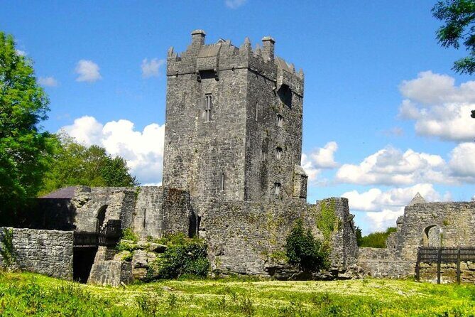 Small Group Kylemore Abbey, Sheepdog Demo & Connemara Tour - What you really get for $126.98: value vs. what you pay extra
