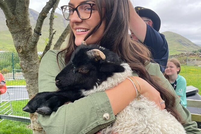 Small Group Kylemore Abbey, Sheepdog Demo & Connemara Tour - Tips to make your day smoother
