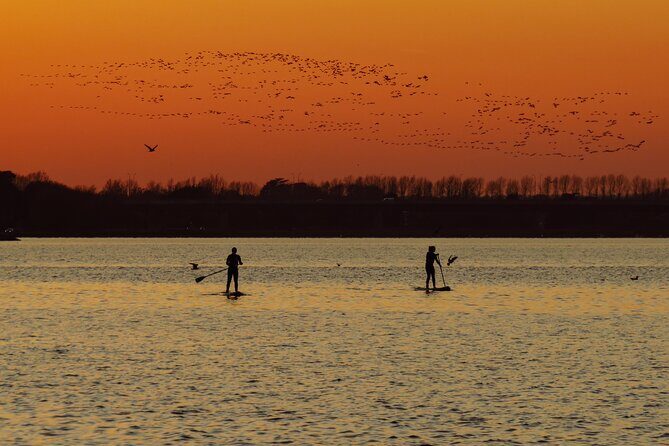 Sunset SUP experience in Malahide, Dublin - Key highlights at a glance