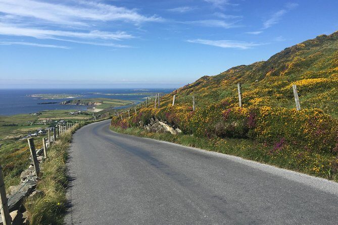 Sustainable Connemara and Galway Bay Rail Tour from Dublin - Roundstone Harbor lunch and what to do if the schedule shifts
