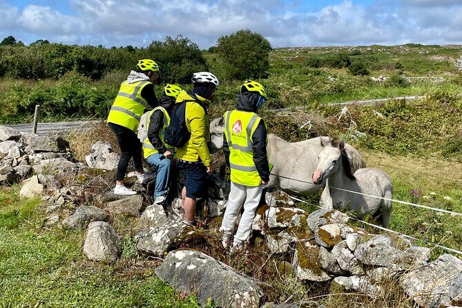 Taste of Connemara Tour by Electric Fat Tyre Bike - Electric fat bikes make Connemara feel approachable