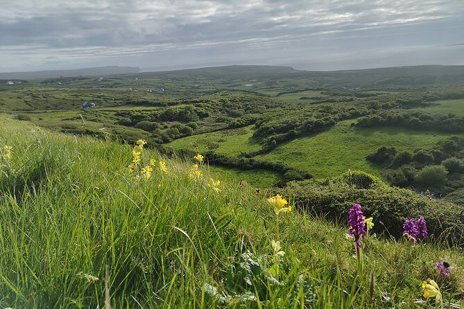 The Burren and Cliffs of Moher Private Tour from Galway - From Galway to Kinvarra: setting up the Burren mood