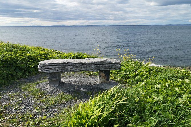 The Burren and Cliffs of Moher Private Tour from Galway - Poulnabrone Dolmen: short walk, big stone presence