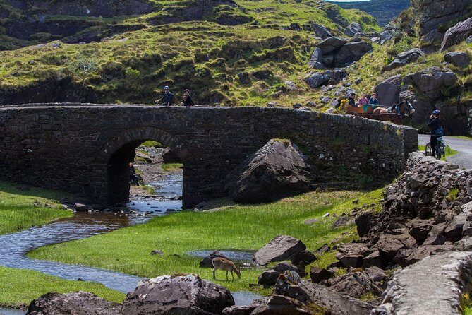 The Gap of Dunloe Full-Day Tour from Killarney - Ross Castle: A Quick Look, Then the Choice to Stretch It