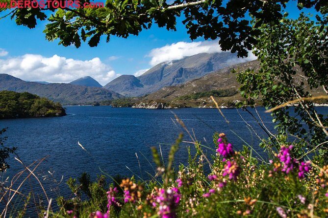 The Gap of Dunloe Full-Day Tour from Killarney - Weather, Clothing, and Pace: How to Make the Day Feel Easy