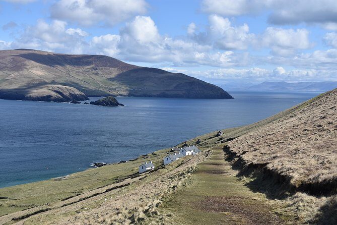 The Great Blasket Island Experience - Premium Tour - Walking time on Great Blasket: seals, views, and the loop hike