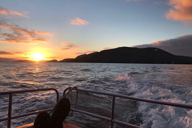 The Great Blasket Island Experience - Premium Tour - What this tour includes (and the stuff you must bring)