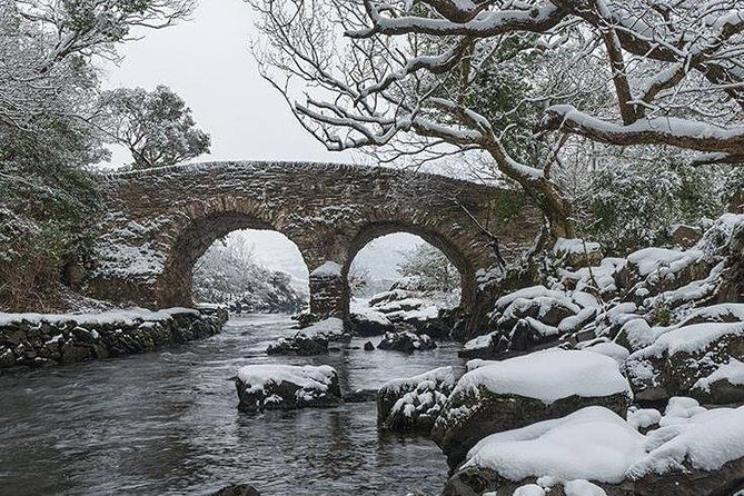 The Meeting of the Waters, Dinis Island, Lakes of Killarney - A 90-Minute Boat Ride Through Killarney National Park’s Waterways