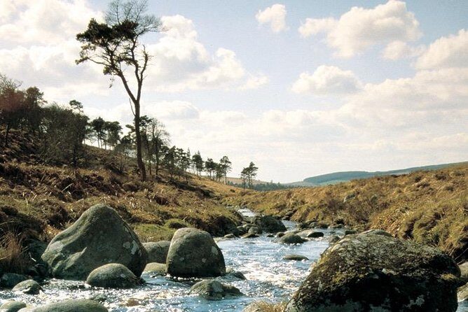 The Original Award Winning Wild Wicklow Tour incl. Glendalough - Lunch at Lynhams of Laragh: Irish pub comfort (and budget time)