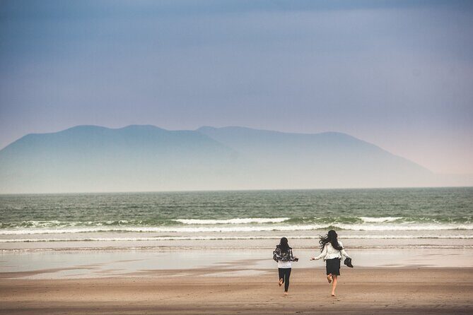 The Wild Coast of Dingle Peninsula and Slea Head from Killarney - Key things to know before you go