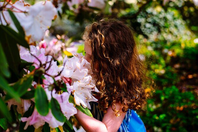 Tickets to Explore Ireland's Global Garden - Key things worth knowing before you go