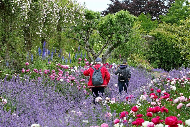 Tickets to Explore Ireland's Global Garden - Timing and opening hours (and why 10:00 to 4:00 is plenty)