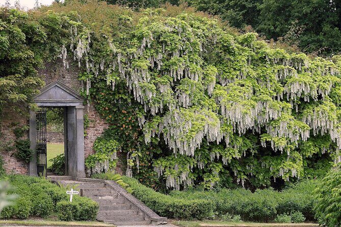 Tickets to Explore Ireland's Global Garden - The heart of the visit: 16 km of woodlands and walkways