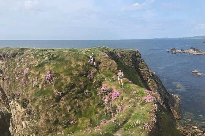 Toe Head Clifftop Hike in West Cork - Toe Head Clifftop Hike: What Makes This Walk Worth Your Time