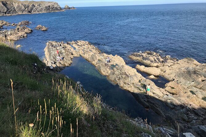 Toe Head Clifftop Hike in West Cork - Móin Rua Heathland and Wild Orchids: When Nature Takes Over