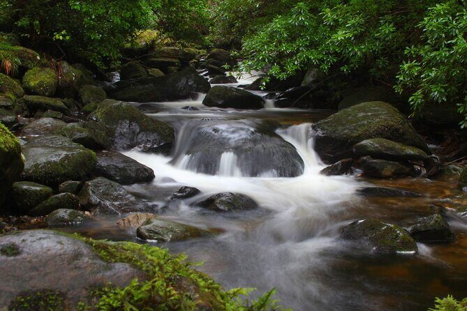 Torc mountain & waterfall hike. Killarney. Private guided group. 3½ hours. - From Brackloon meeting point to the park: how the morning gets rolling