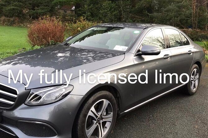 Tour Wicklow Mountains National Park in a limo with private guide - Who this tour fits best (and who might want something else)