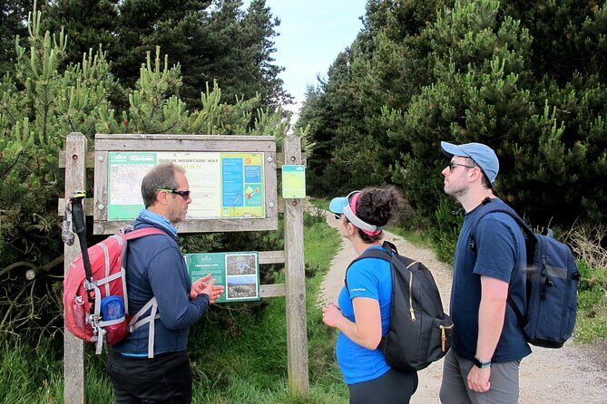 Trek the Tombs and Trails in the Dublin Mountains - The ridge walk and Stop 2 burial site: Tibradden and the stone circle