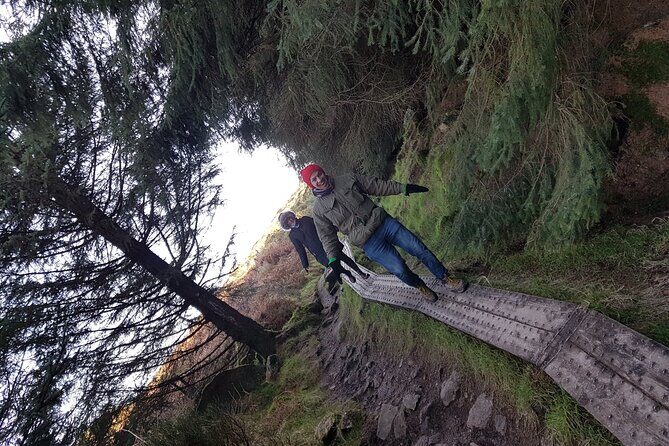 Trek the Tombs and Trails in the Dublin Mountains - Evergreen forest descent to the Hazel House area: when the hike becomes comfortable