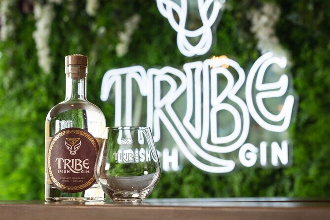Tribe Gin School Experience in Galway - The welcome bite: meats and local cheeses