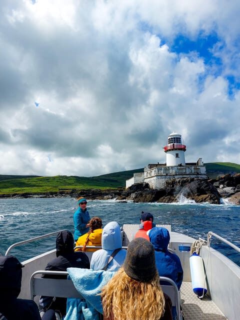 Valentia Island : The Experience - Wildlife Chances: Grey Seals and the Seabirds You Can Actually Call Out