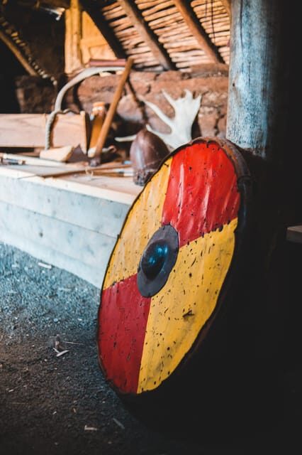 Vikings In Dublin (Walking Tour) - The guide experience: French narration done right
