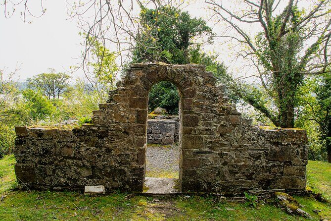 Visit Innisfallen Island - Choosing the Right Departure Time on Lough Leane