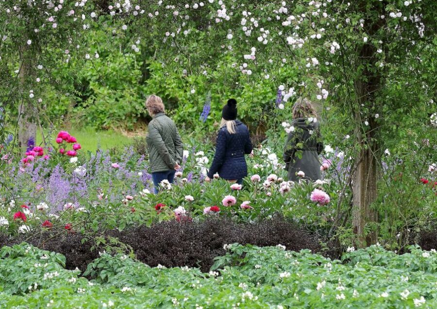 Waterford: Mount Congreve Gardens Entry Ticket - Guided tours and Forest Bathing: when you want more than a wander