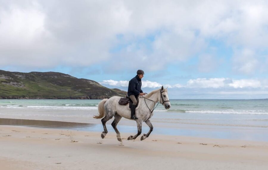 Westport: Beach and Countryside Guided Horse Ride - Key Things You’ll Notice on This Ride