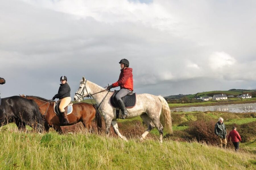 Westport: Beach and Countryside Guided Horse Ride - Seals Rock: The Rule Is Simple, and That’s the Point