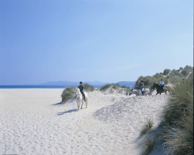 Westport: Beach and Countryside Guided Horse Ride - The Beach Route: What a One-Hour Ride Really Feels Like