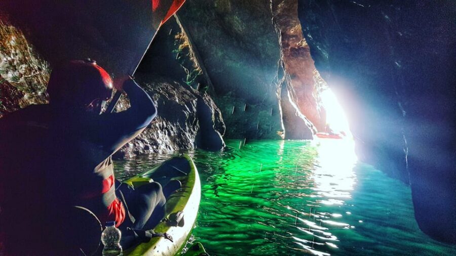 Wexford: Hook Peninsula Sea Cave Kayaking Experience - Local seals and marine life: seeing wildlife without disrupting it