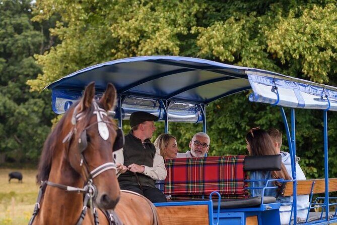 Whiskey & Wonders in Killarney - Key highlights you should know
