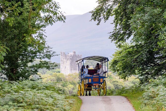 Whiskey & Wonders in Killarney - Jaunting car to Killarney National Park: the ride that sets the tone