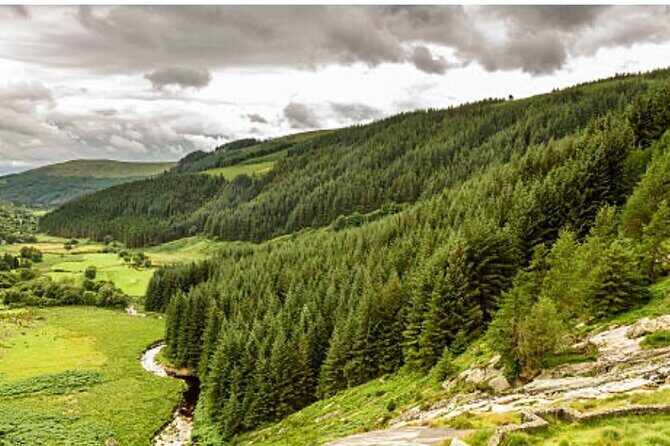 Wicklow and Glendalough Private Chauffeured Sightseeing Tour - Powerscourt Waterfall: 121 meters of real Irish power