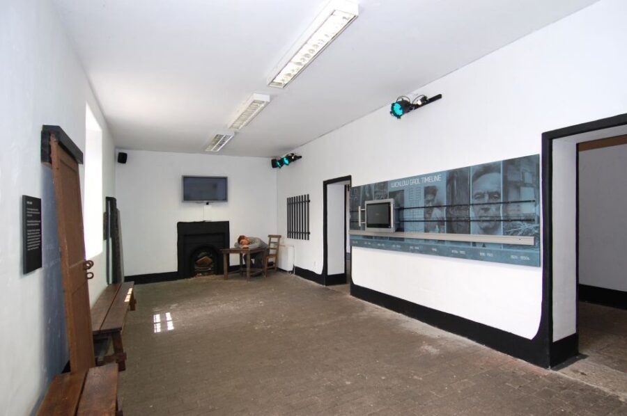 Wicklow Historic Gaol: 1-Hour Tour - Key highlights worth planning around