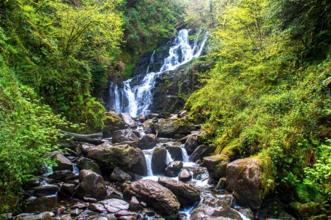 Wicklow Mountains & Glendalough Luxury Private Day Tour - Glendalough’s monastic settlement: St. Kevin’s valley of two lakes