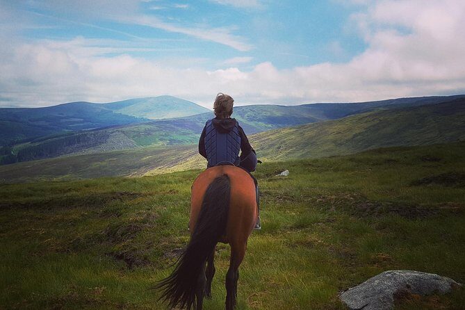 Wicklow Mountains Horse Trekking - Key Highlights You’ll Care About
