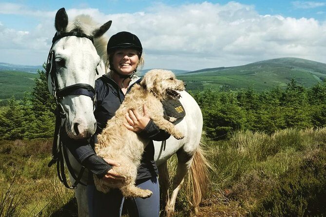 Wicklow Mountains Horse Trekking - Horse Trekking in Wicklow: Why This 1 Hour Ride Feels Worth It