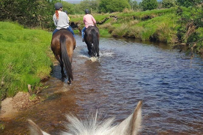 Wicklow Mountains Horse Trekking - Before You Mount: The Lesson That Helps Beginners Breathe