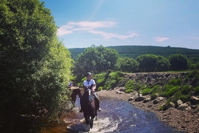 Wicklow Mountains Horse Trekking - Riding the Wicklow Mountains and King’s River Valley