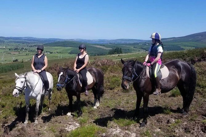 Wicklow Mountains Horse Trekking - Weather Reality Check: What Rain and Wind Mean for Your Day