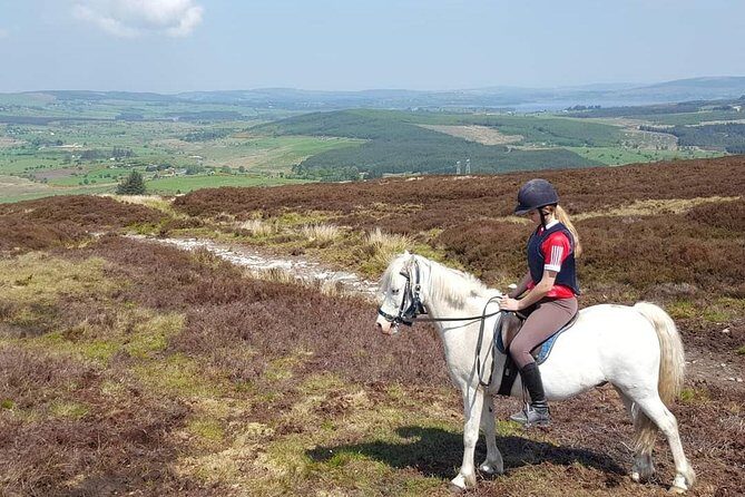 Wicklow Mountains Horse Trekking - English-Speaking and Mobile Tickets: Simple Planning