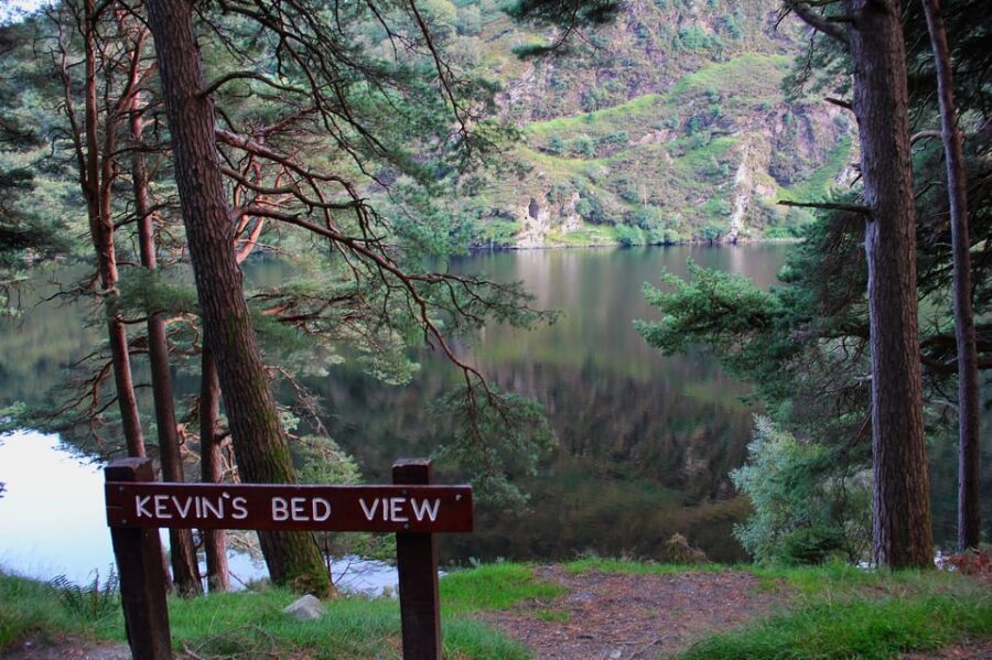 Wicklow Mountains Private Day Tour including Glendalough - Lunch in a traditional Irish pub: what to eat and how to use the time