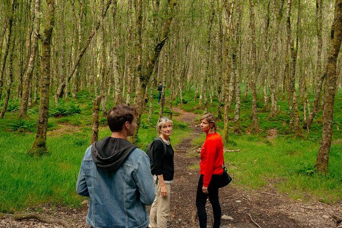 Wicklow Mountains Private Day Trip from Dublin - How the host keeps it flexible (and why that matters)