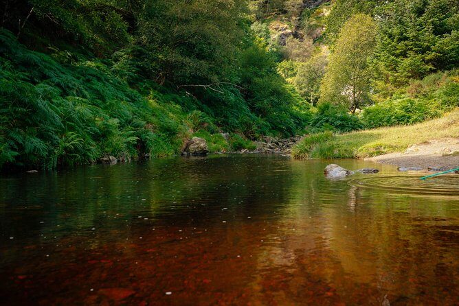 Wicklow Mountains Private Day Trip from Dublin - Price and value: what $52 really buys you