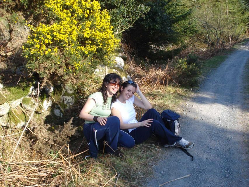 Wicklow: Private Day Tour from Dublin - Price and Value for Up to 8 People
