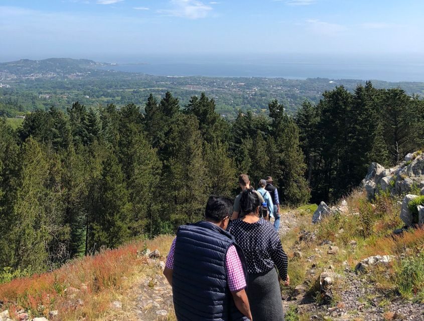 Wicklow: Private Day Tour from Dublin - Wicklow Mountains National Park Scenic Stops and Famous Sets