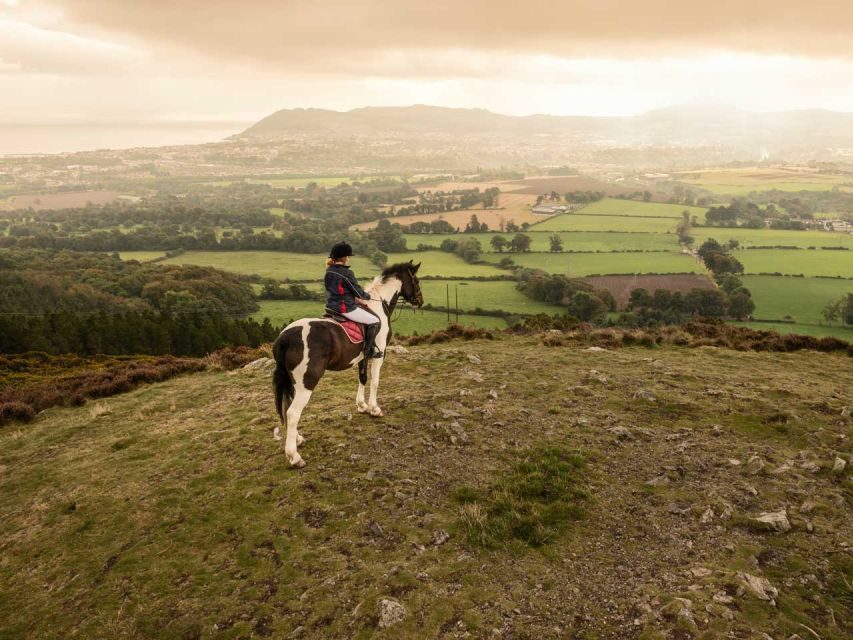 Wicklow: Private Day Tour from Dublin - How the Guide Tailors the Day (Dermot, Terry, and You)